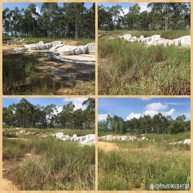 广东陆丰:镇政府故意放任违法占地造坟、甲西镇对举报人进行肆意打击报复