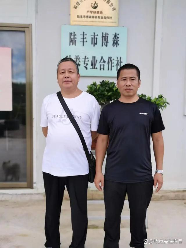 广东陆丰:镇政府故意放任违法占地造坟、甲西镇对举报人进行肆意打击报复