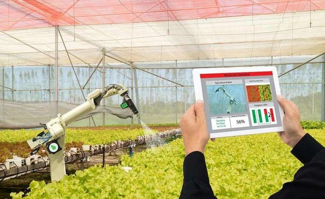 深耕数字农业,助力乡村振兴