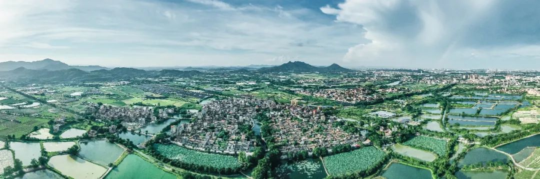 逃离城市计划!来花都古村,感受“慢”下来的惬意时光……