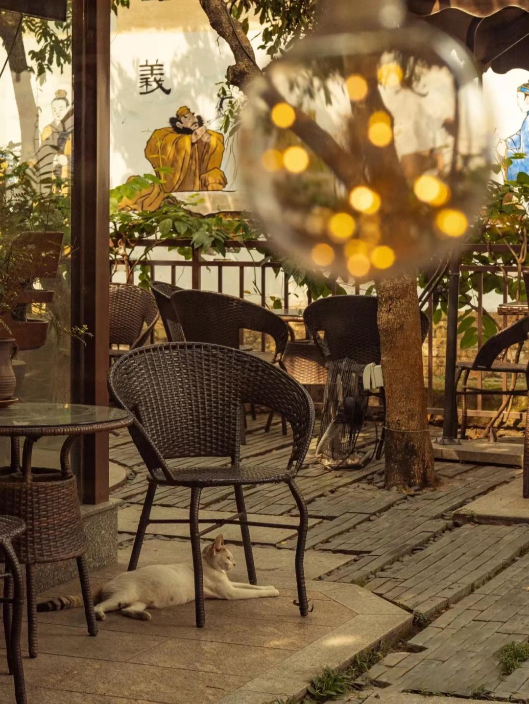 逃离城市计划!来花都古村,感受“慢”下来的惬意时光……