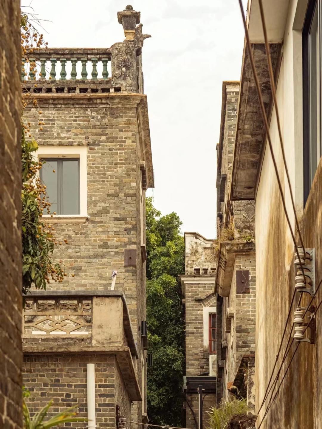 逃离城市计划!来花都古村,感受“慢”下来的惬意时光……