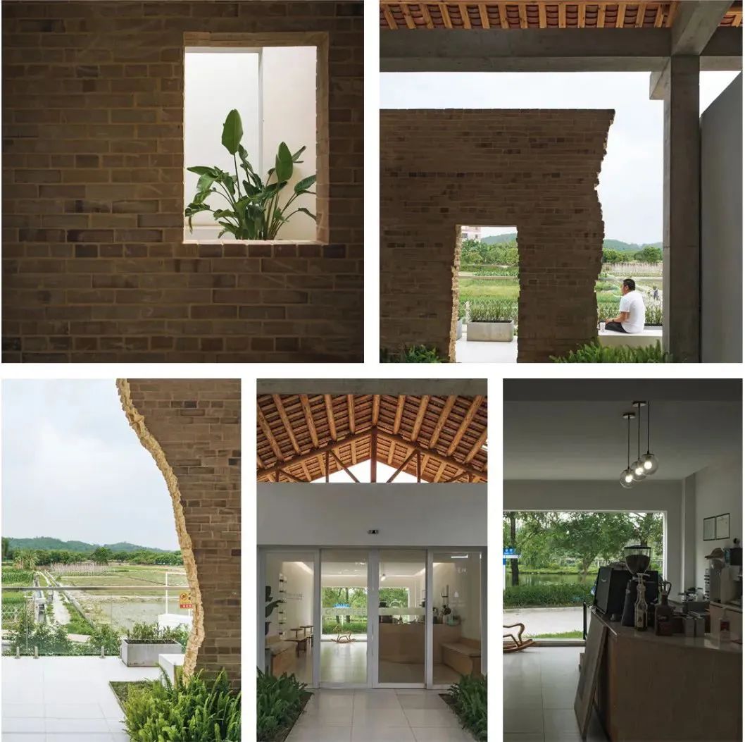 逃离城市计划!来花都古村,感受“慢”下来的惬意时光……