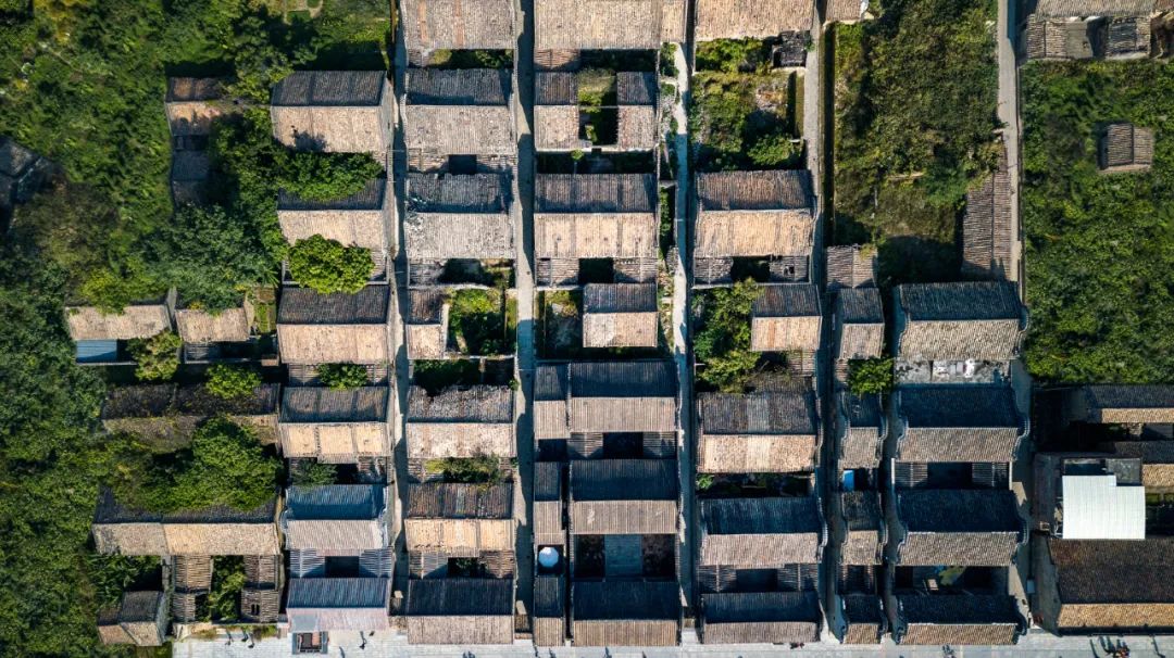 逃离城市计划!来花都古村,感受“慢”下来的惬意时光……