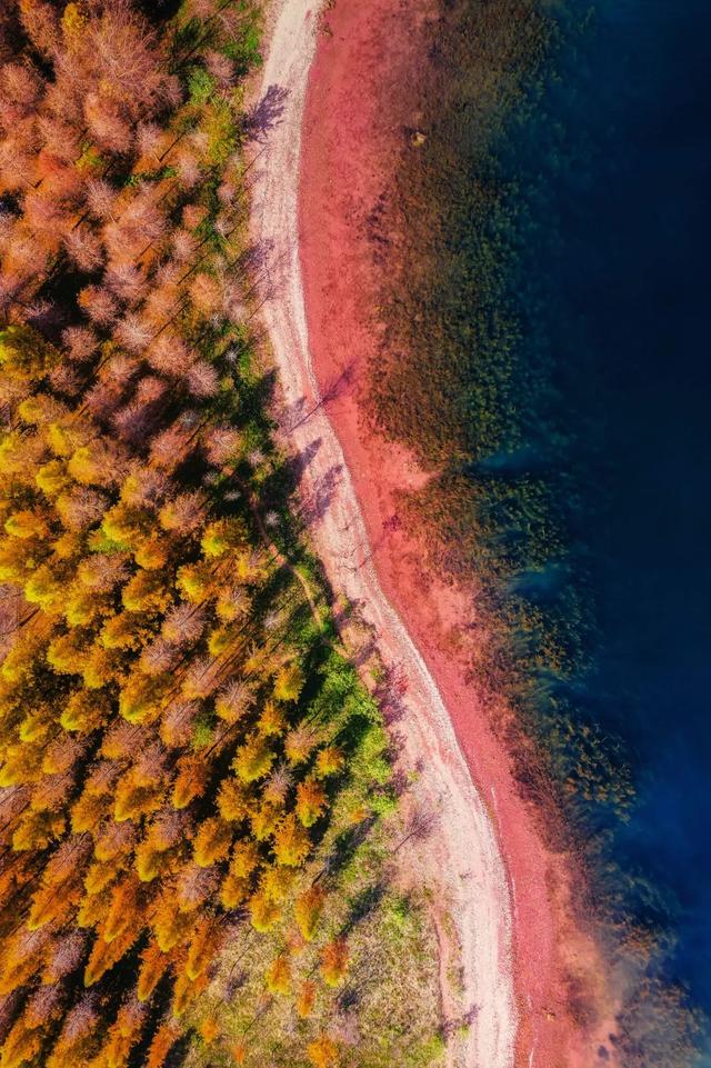 抚仙湖畔,开启一场光影和思想之旅