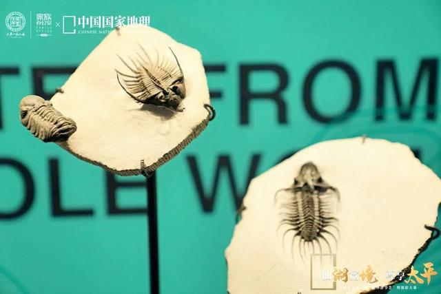 抚仙湖畔,开启一场光影和思想之旅