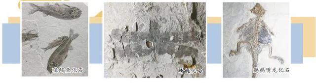 生态文学|辽西之思