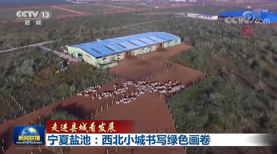 【走进县城看发展】重庆巫溪:绿色兴业 生态富民 宁夏盐池:西北小城书写绿色画卷