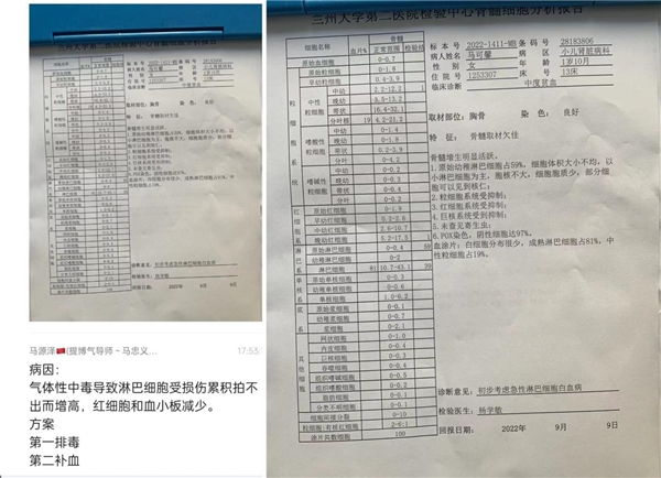 马忠义 民族的就是世界的—回医提博气