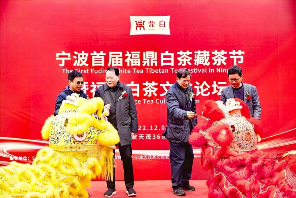 福鼎白茶助力共富,“鼎白”香溢宁波