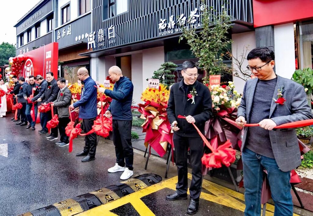 福鼎白茶助力共富,“鼎白”香溢宁波