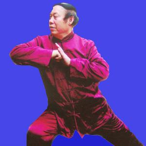 中国著名武术家邹德发去世