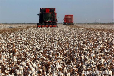 <strong>新时代新疆经济发展战略定位的重构思考</strong>