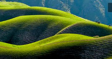 <strong>新时代新疆经济发展战略定位的重构思考</strong>