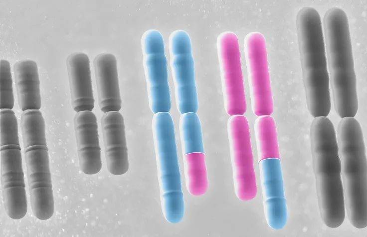 重磅!“反复流产”的家庭有福了,流产物检测全国专家共识出台!