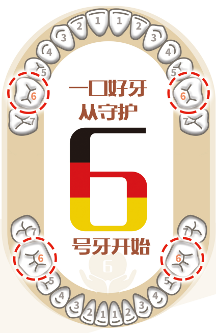 德伦“6号牙”专车开进网易,大企业职工的口腔义诊大受欢迎