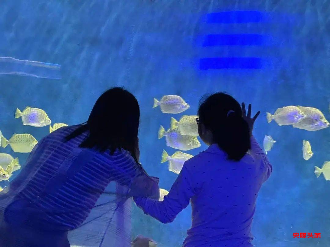 尧泰汉海五城联动,“益”起圆梦!用爱守护成长,助力502名孩子实现心愿