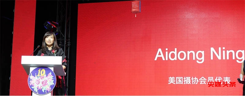 艺术的十年辉煌:大西洋文化艺术交流协会十周年庆典晚会