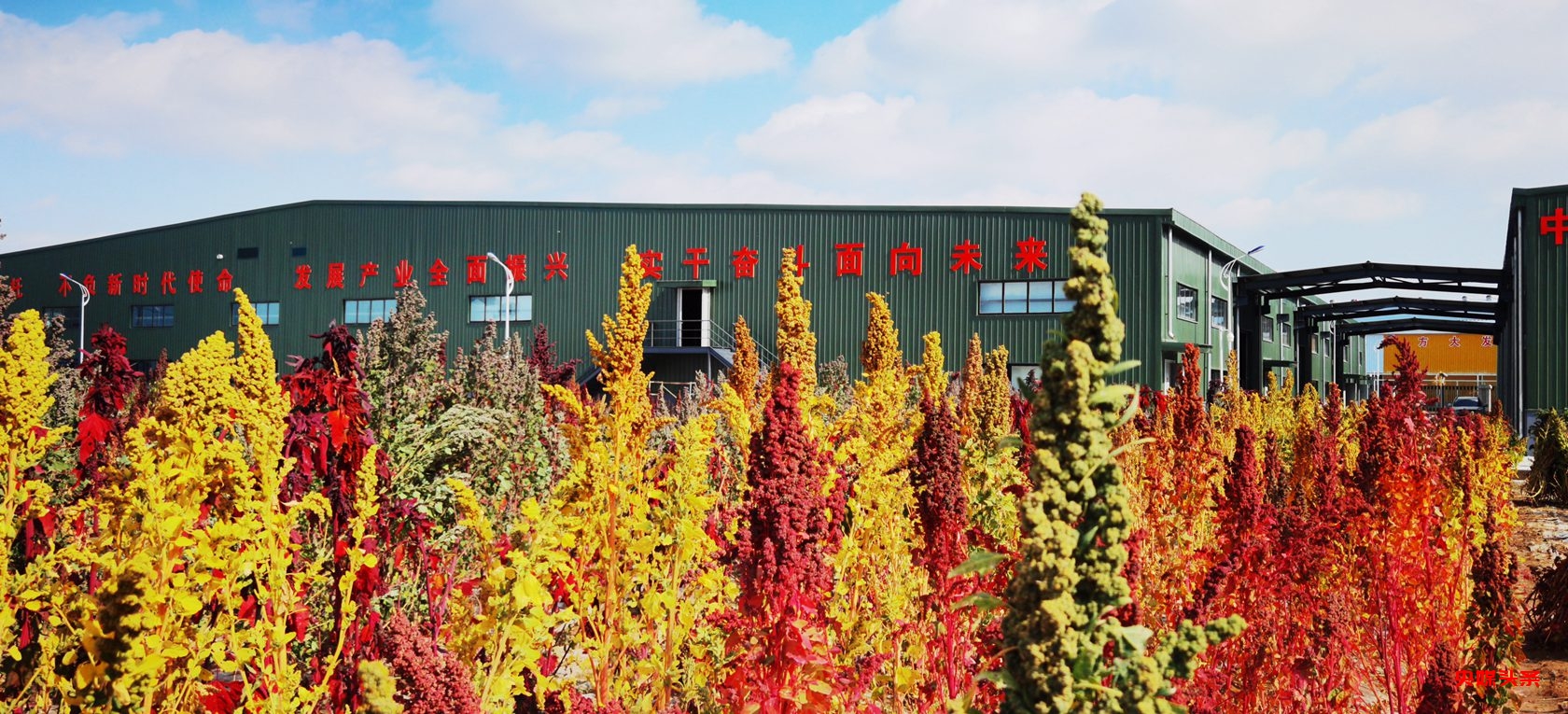 济南历城区文旅局邀请记者走进甘肃:发现东乡县6宝