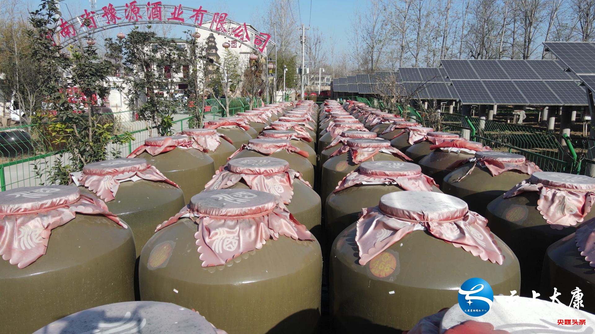 图片9.png 图片9.png