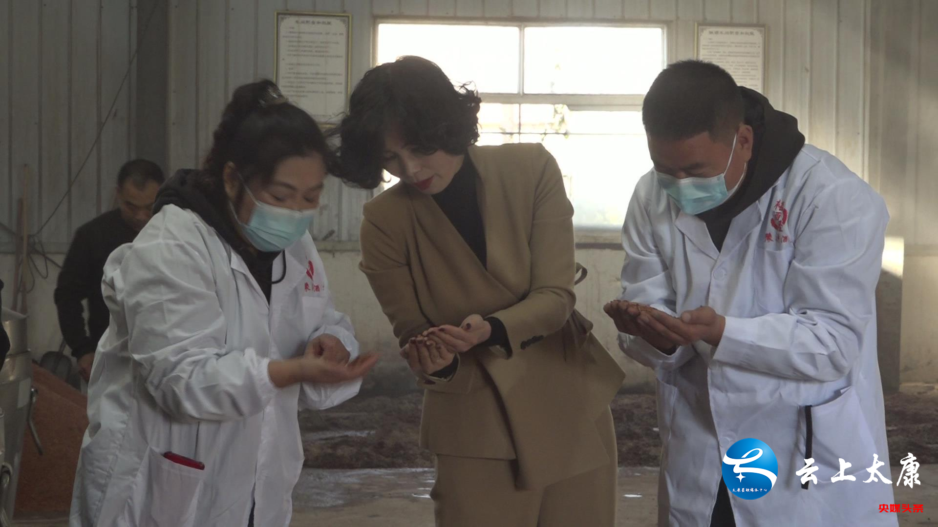 图片12.png 图片12.png