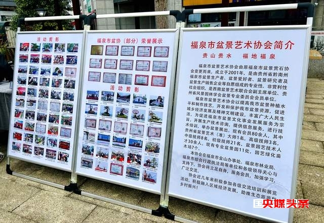 福泉市将迎来首届盆景职业技能大赛暨盆景展