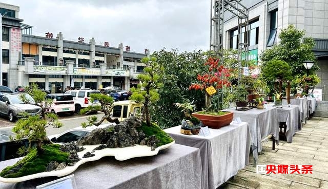 福泉市将迎来首届盆景职业技能大赛暨盆景展