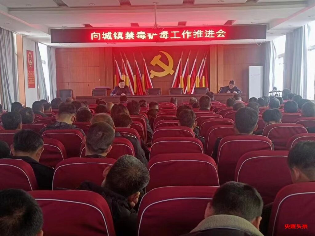 向城镇:禁种铲毒齐发力,宣传踏查守净土