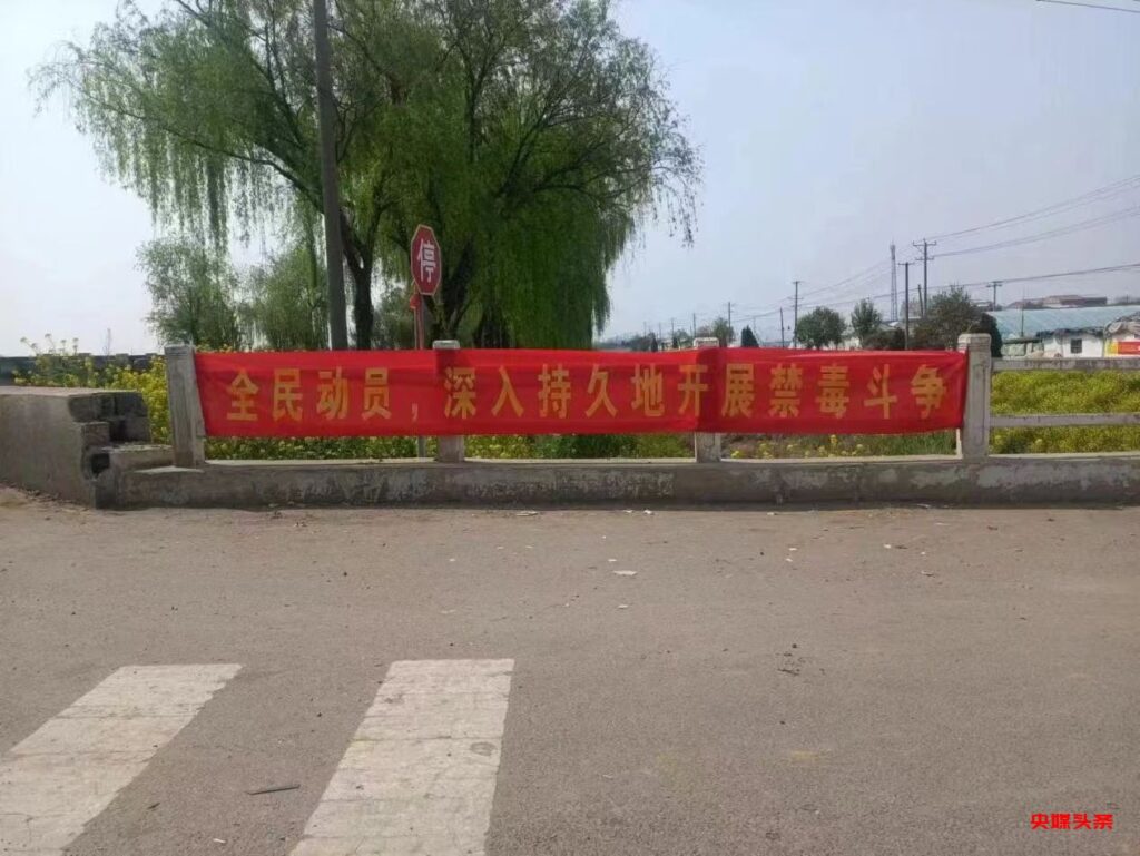 向城镇:禁种铲毒齐发力,宣传踏查守净土