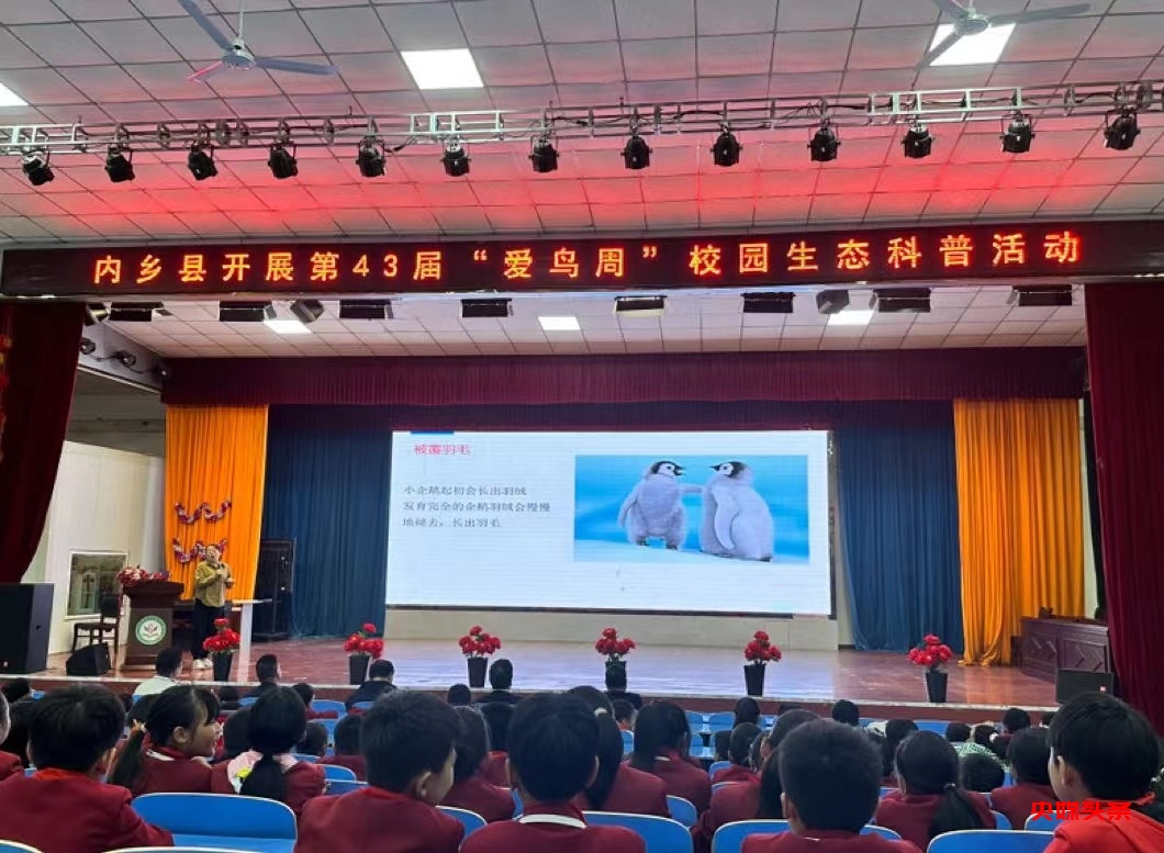 河南内乡:开展生态科普 守护蓝天精灵