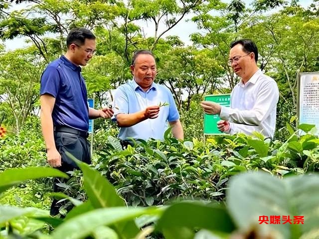 北京机场《中国文化艺术品代言》主题巡展——罗大友