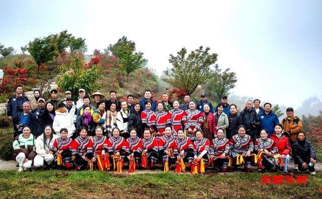 毕节秘境再现杜鹃花海，彝风歌舞颂生活之美