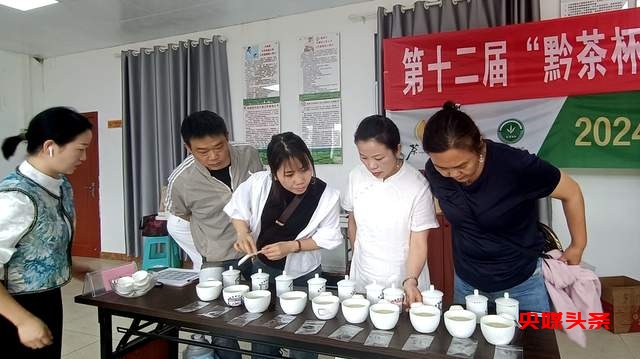 贵州“黔茶杯”名优茶评比消费导向评审活动圆满落幕,助推黔茶品质再上新台阶