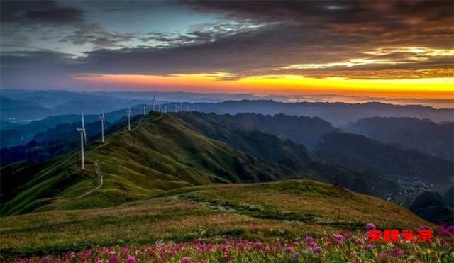 寻美毕节:韭菜花开,紫色梦境的浪漫邀约