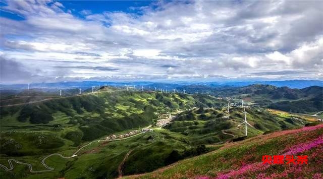 寻美毕节:韭菜花开,紫色梦境的浪漫邀约