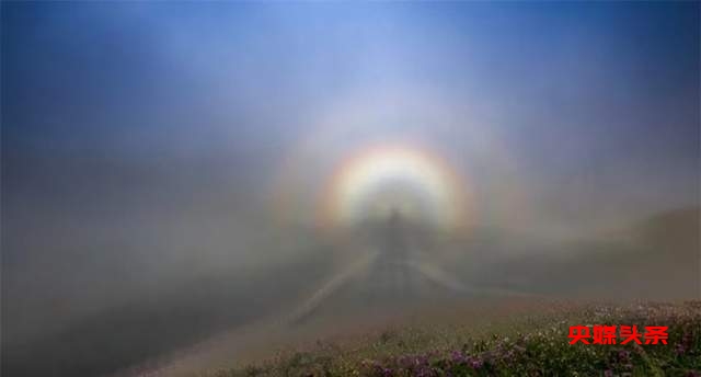 寻美毕节:韭菜花开,紫色梦境的浪漫邀约