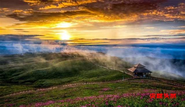 寻美毕节:韭菜花开,紫色梦境的浪漫邀约