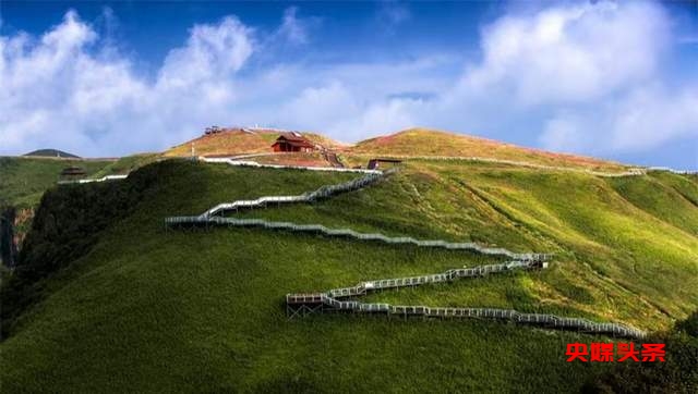 寻美毕节:韭菜花开,紫色梦境的浪漫邀约