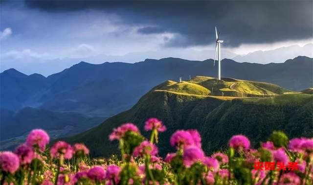 寻美毕节:韭菜花开,紫色梦境的浪漫邀约