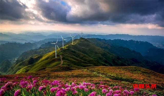 寻美毕节:韭菜花开,紫色梦境的浪漫邀约