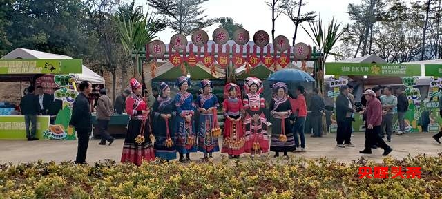 元旦盛启,金风玉露共鉴东兰新章——2025中国·东兰坡豪湖露营地璀璨启航