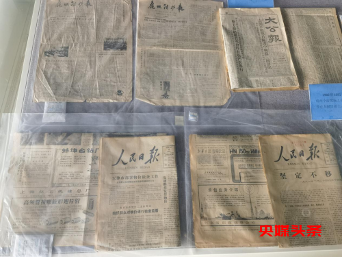 大河之“吻”——记中国防腐历史博物馆创办人李现修