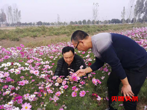 模范帮带成效足 示范带动促先进——翟坡镇争创“名村庄” 争做“名书记”创建“五星”支部“以创促建”活动进展显著