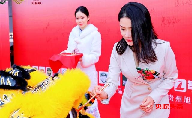 贵州路虎俱乐部接待中心暨大益茶云著店开业，掀起新热潮