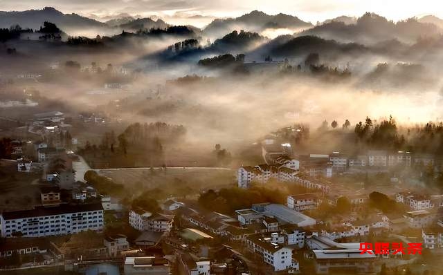 湄潭核桃坝村：西部茶叶第一村的绿色传奇