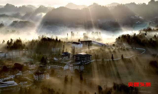 湄潭核桃坝村：西部茶叶第一村的绿色传奇