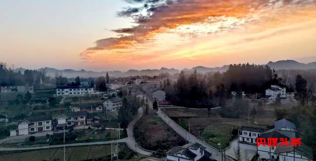 湄潭核桃坝村：西部茶叶第一村的绿色传奇