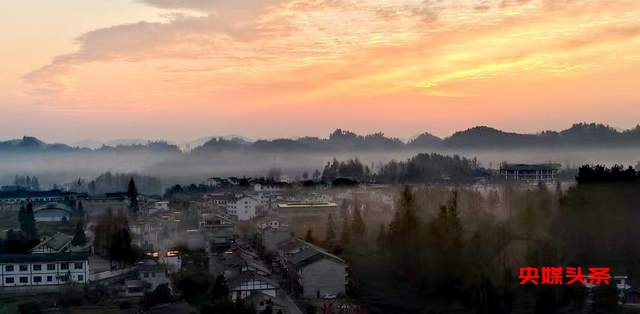 湄潭核桃坝村：西部茶叶第一村的绿色传奇