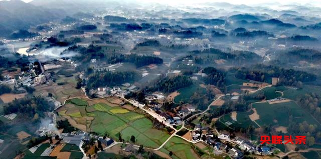湄潭核桃坝村：西部茶叶第一村的绿色传奇