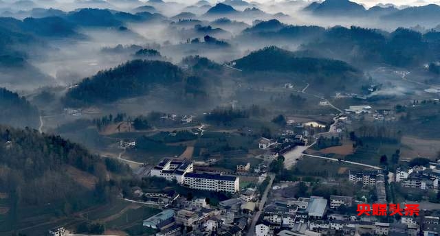 湄潭核桃坝村：西部茶叶第一村的绿色传奇